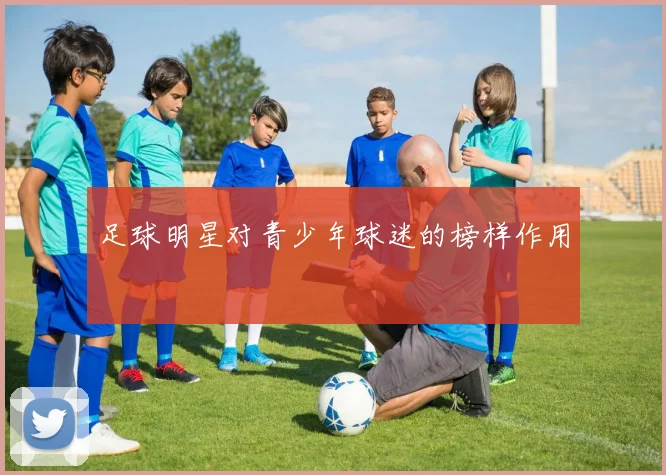 足球明星对青少年球迷的榜样作用